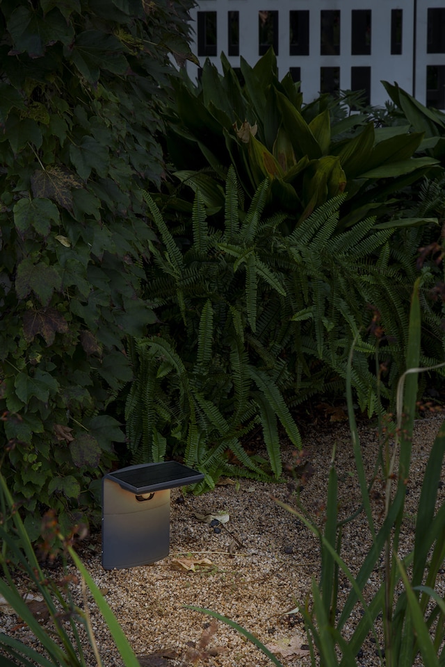 image 1 of Luma LED Outdoor Pedestal Light Dark Grey IP65 3000K