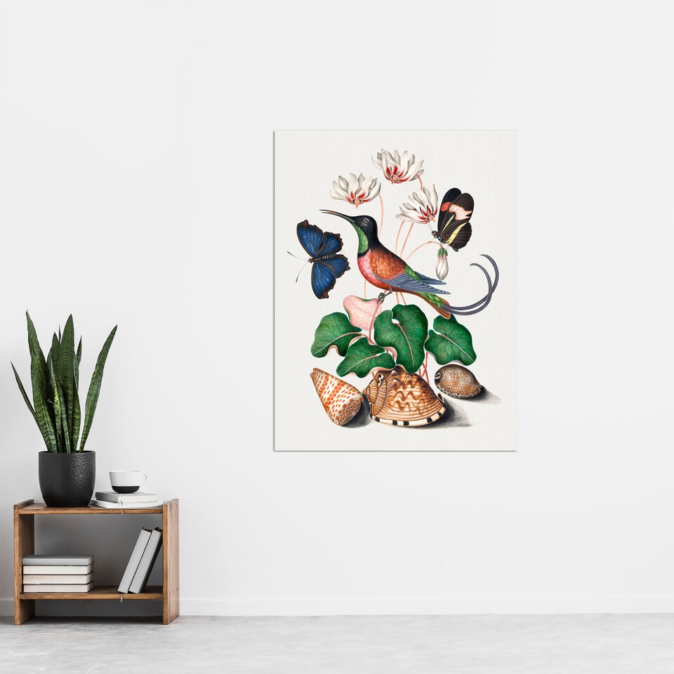 image 1 of Hummingbird Cyclamen Butterflies Seashells Bolton Huge Wall Art Poster Print