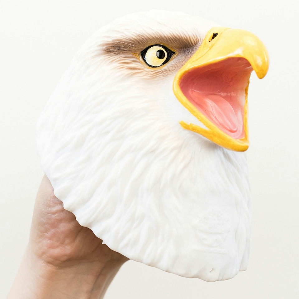 image 1 of Wild Thingz White Eagle Hand Puppet