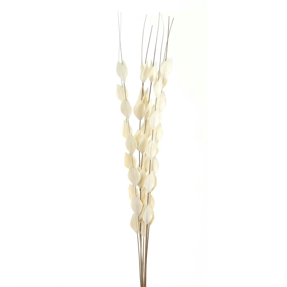 Hill Interiors Bouquet Of Dried Thlaspi Arvense Artificial Flower - White - One Size