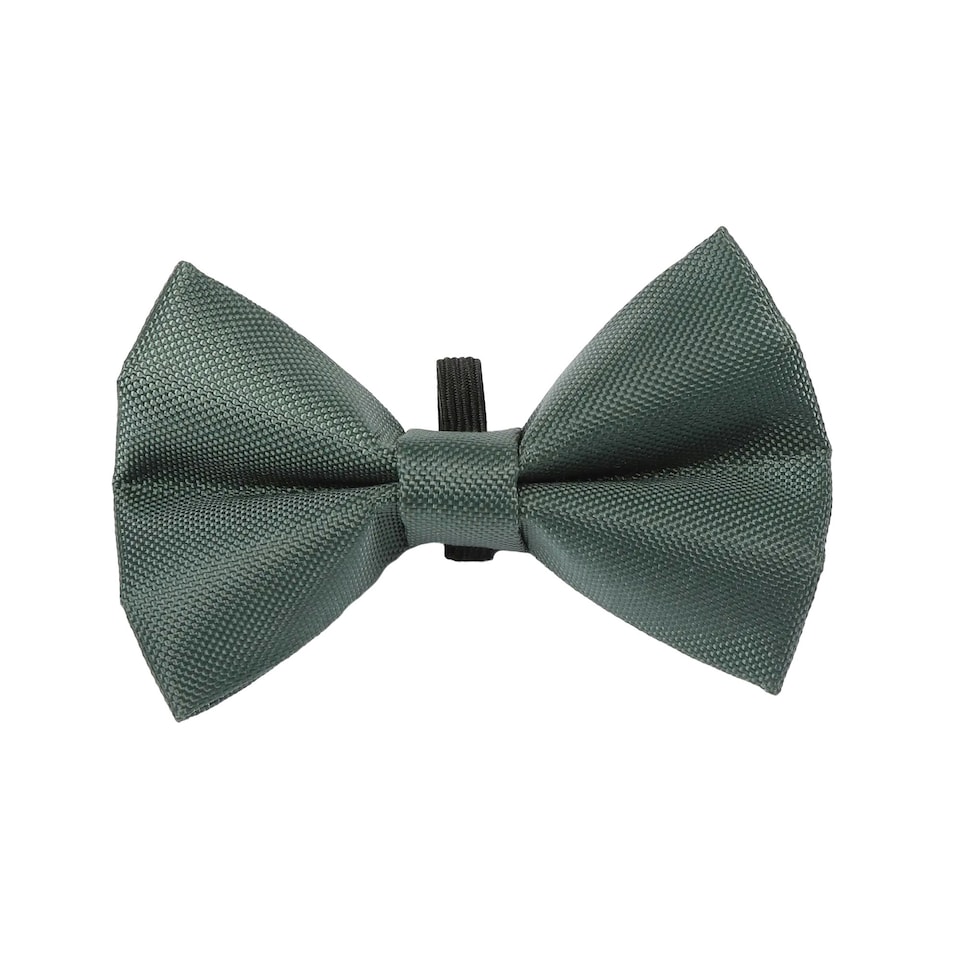 Digby & Fox Plain Dog Bow Tie - Forest - L