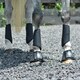 image 3 of Woof Wear Ivent Overreach Boot Black | Size: Large
Colour: Black/Steel