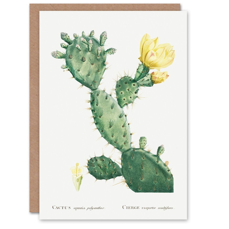 image 1 of Pierre-Joseph Redouté Art Card Opuntia Polyanthos Cactus
