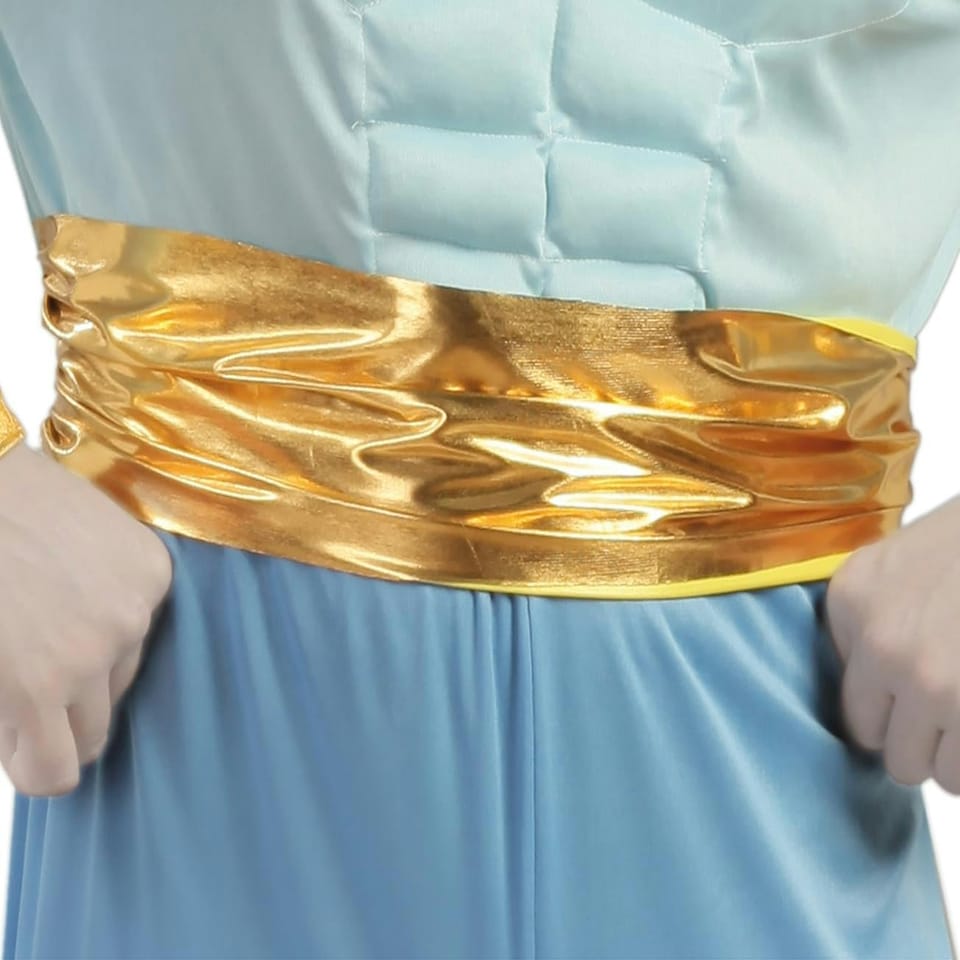 image 1 of Fancy Dress Adult Muscle Lamp - XL