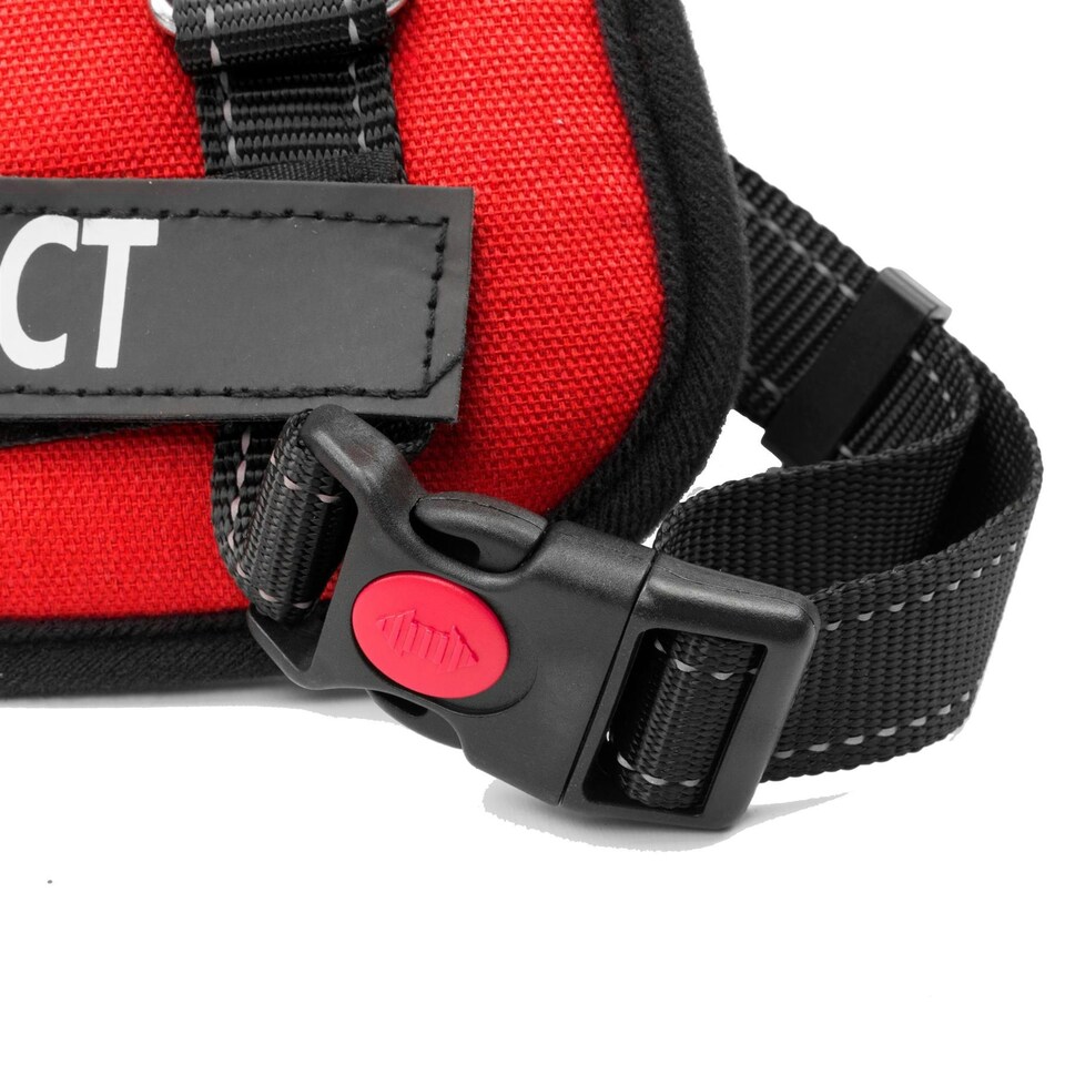 image 1 of KCT Large Red Padded Dog Harness Red | L