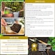 image 6 of Buxus Feed Controlled-Release Fertiliser Plant Food Box Hedges & Topiary Easy-Apply Granules for Dense Healthy Growth 120g Pouch