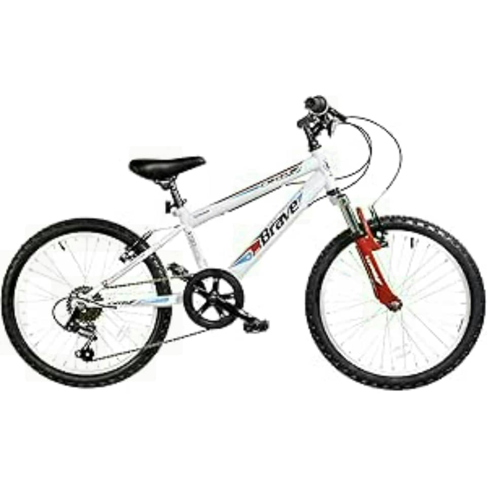 Dallingridge Brave Junior Hardtail Mountain Bike 20In Wheel 6 Speed