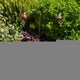 image 2 of 55 Inch Cockeril Garden Spinner - L90 x W90 x H140 cm