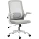 image 1 of HOMCOM Mesh Desk Chair with Tilt Function, Lumbar Support Grey