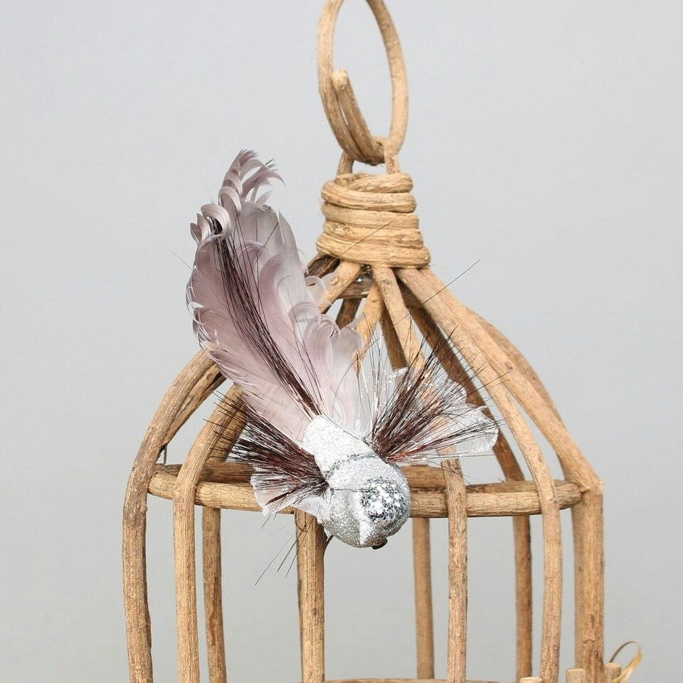 image 1 of Decorative Silver Fantasy Bird With Clip - 15cm