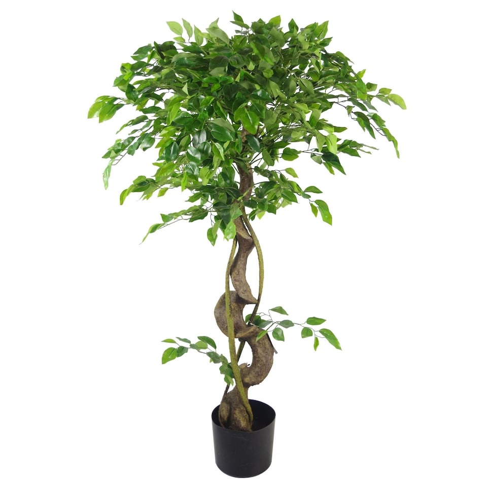 image 1 of Artificial Trees 120cm Medium Twisted Ficus 120cm | Green | 4ft