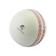 image 1 of CRICKET-GIFTS - Large Cricket Ball Squeezy Stress Ball | Relieve Tension & Improve Focus White