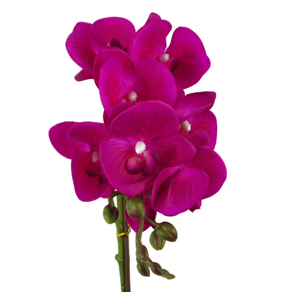 image 1 of Orchid Artificial Dark Pink Silver 50cm Phalaenopsis