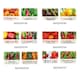 image 8 of Pronto Seed Chilli & Sweet Pepper Seeds Variety Pack – 12 Types, 110 Seeds for Home Growing