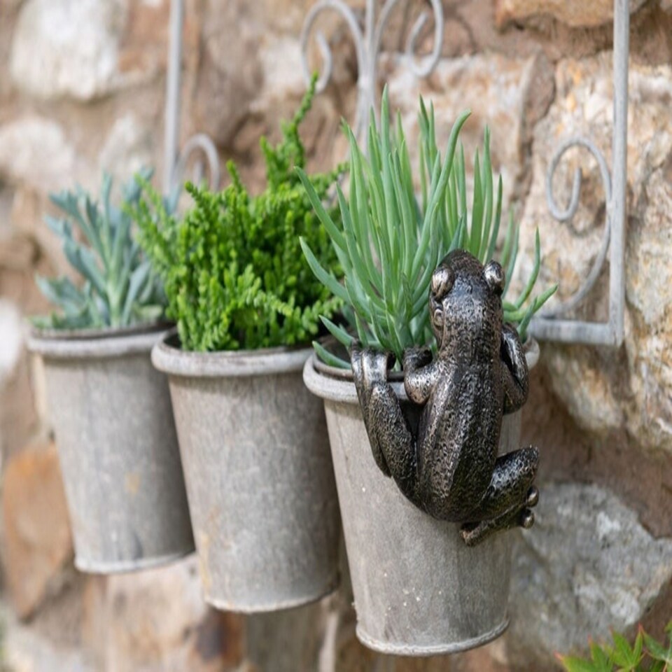 image 1 of Frog Plant Pot Hanger - L10.5 x W11 x H5 cm