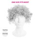 image 7 of Adult Grey Afro Wig – Fancy Dress Costume Hairpiece Grey | One Size