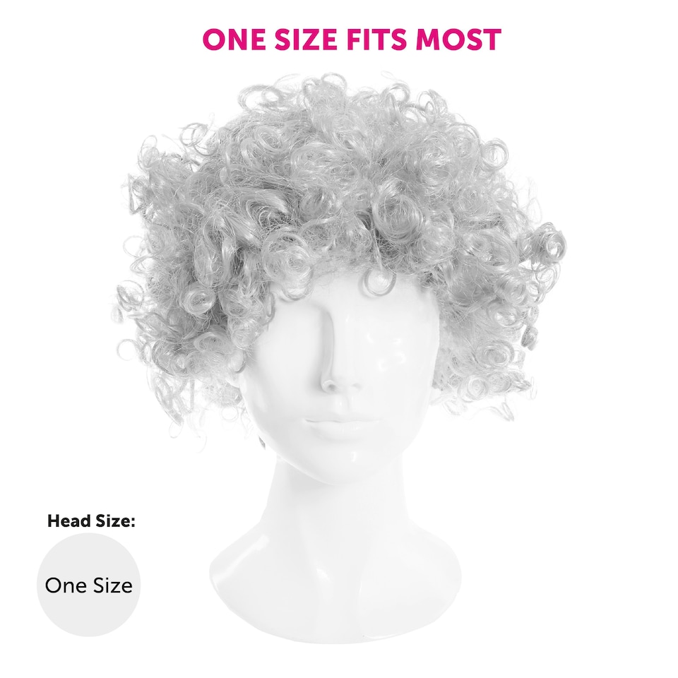 image 1 of Adult Grey Afro Wig – Fancy Dress Costume Hairpiece Grey | One Size
