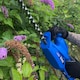 image 5 of Electric Hedge Trimmer, 16 inch, 41cm, 450W, 230V from Bloggs