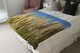 image 4 of Pampus Grass Designer Blanket | Multi