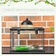 image 5 of PawHut Glass Reptile Terrarium Habitats for Lizards, Frogs, Snake 50 x 30 x 25cm
