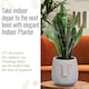 image 3 of Textured Concrete Effect Beige Oval Face Planter Indoor L30.5 D29.5 H29.5 cm, 13.9 ltrs Cap.
