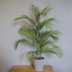 image 1 of Artificial Palm Tree in Decorative Planter Botanik | Green | 3ft