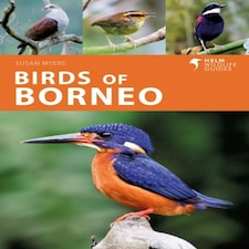Birds Of Borneo