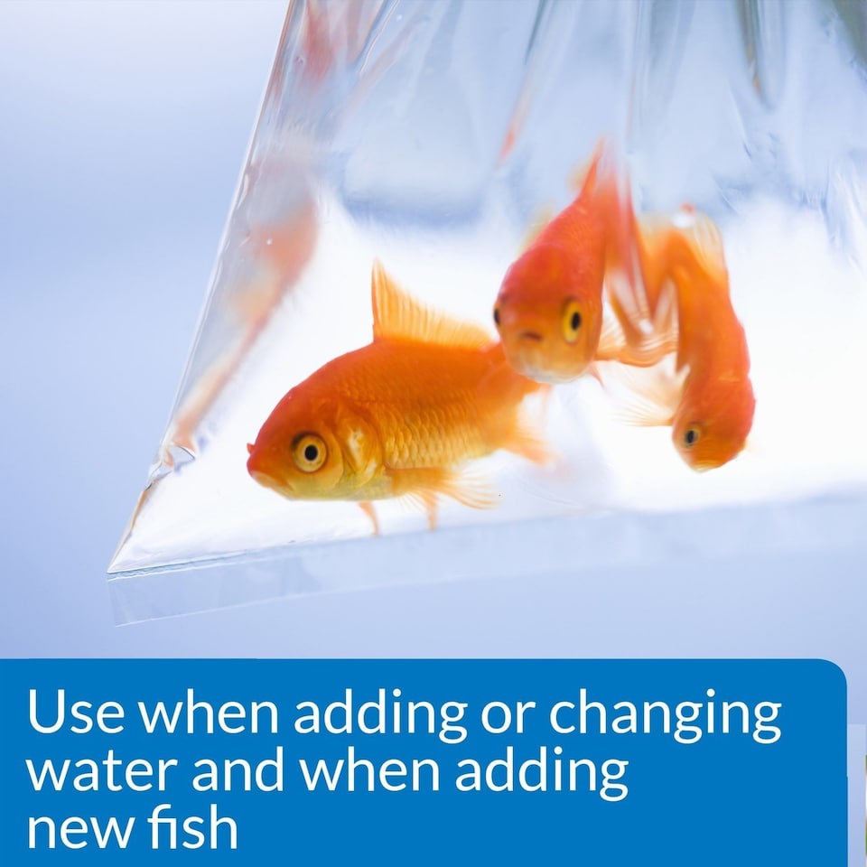 Curated visual reference: Fresh Look at Aquarian Tap Water Conditioner 118Ml Pack Of 12 Aquarium Water