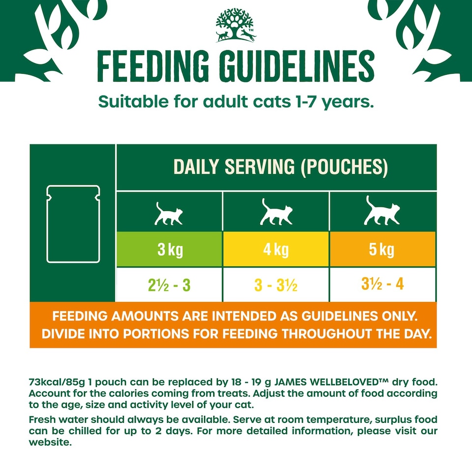 image 1 of James Wellbeloved Grain Free Adult Wet Cat Food Pouches Salmon in Gravy 48 x 85g