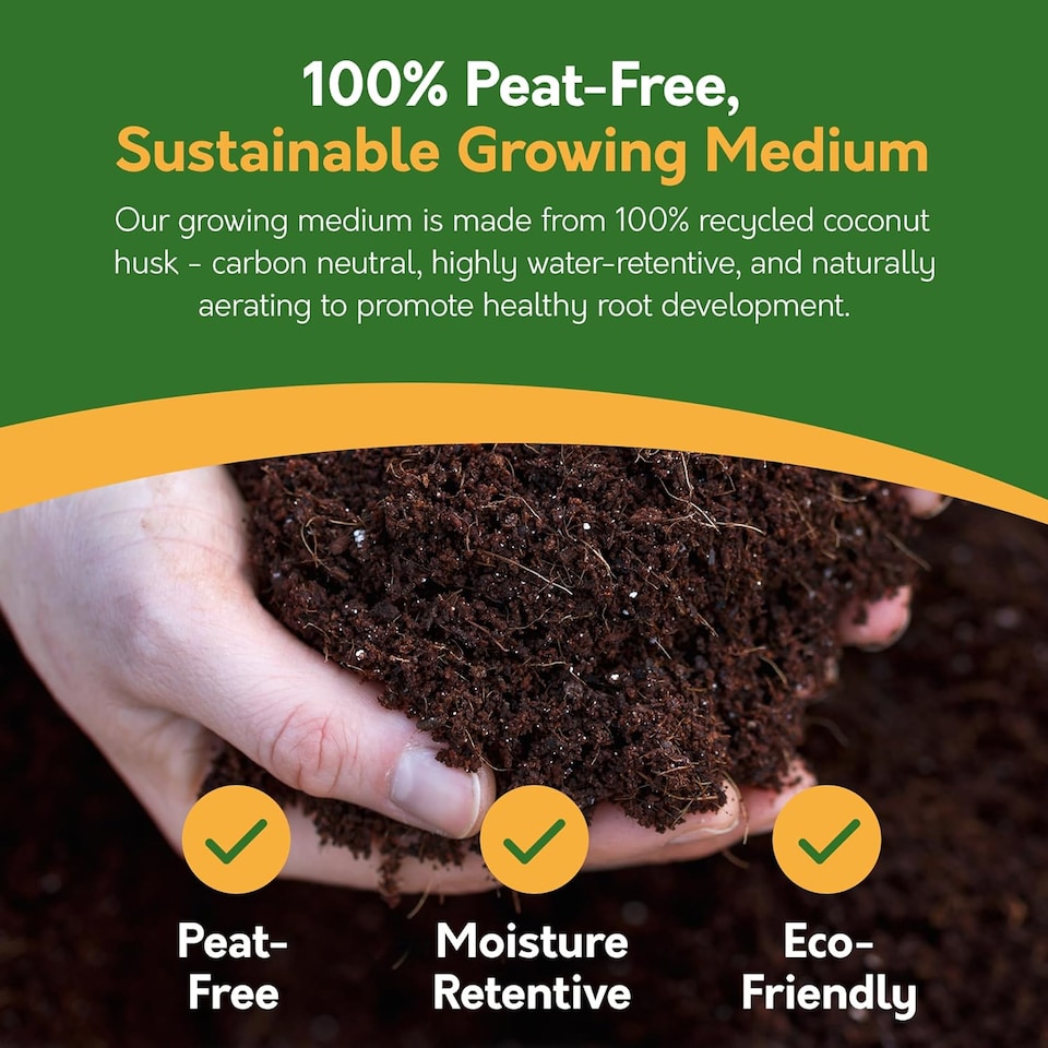 image 1 of Pronto Seed Grow Your Own Bonsai Tree Kit - 5 Bonsai Seed Varieties - Gardening Gifts for Men and Women