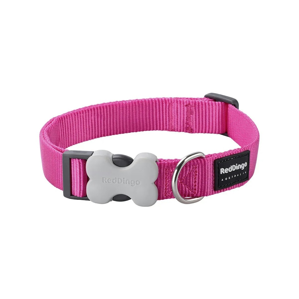 image 1 of Dog Collar Classic Hot Pink Pink | XS