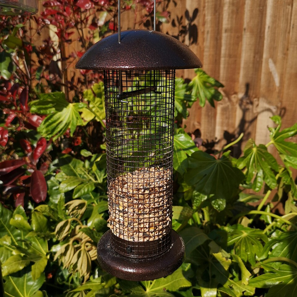 image 1 of Tom Chambers Giant Heavy Duty Flick Top Garden Wild Bird Hanging Copper Effect Metal Peanut Feeder