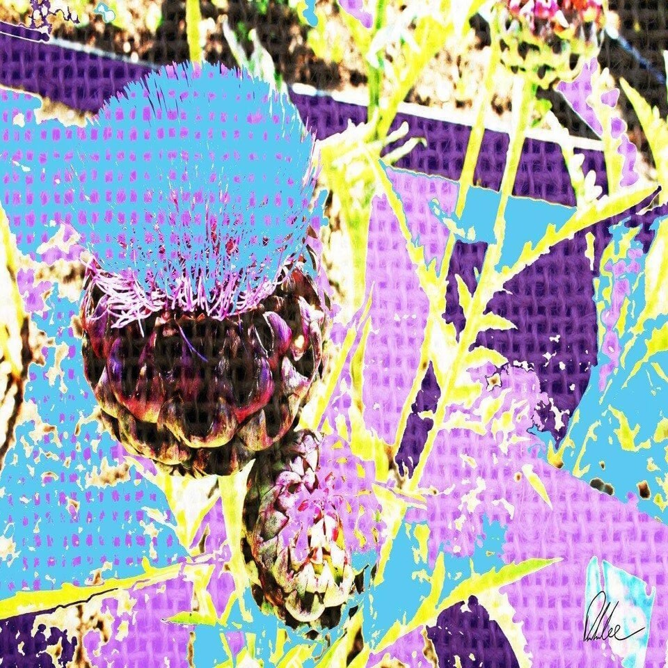 image 1 of Afro plants (Canvas Print) 12" x 18"