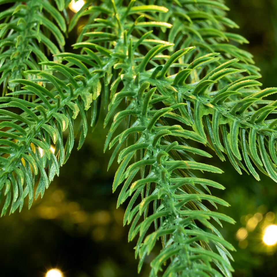 image 1 of Christmas Tree World  4ft/120cm Pre-lit Ultra Mountain Pine