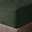 Olive - Selected