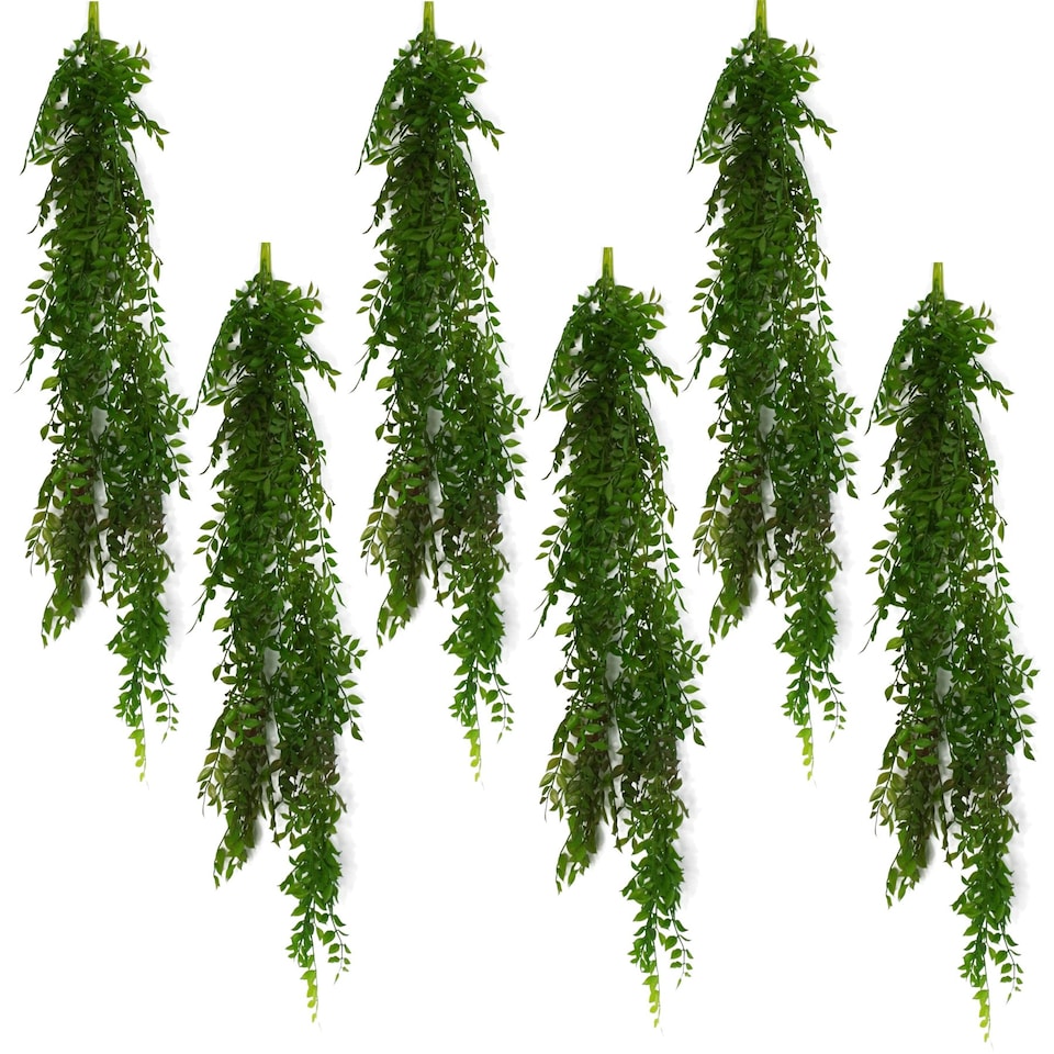 image 1 of 6 x 100cm Hanging Pearls Fern Plant Dark Green