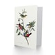 image 2 of John James Audubon Art Card Painted Finch on Olive Branch