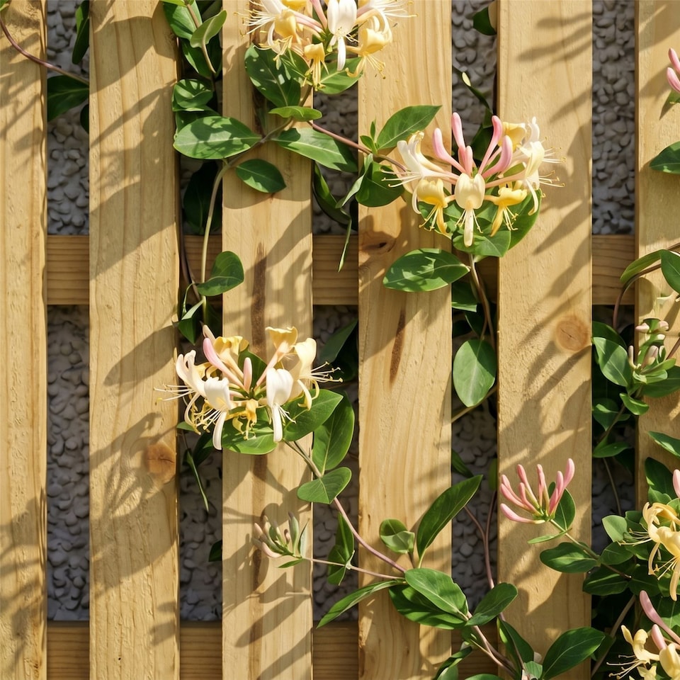 image 1 of Premier Florence Wooden  W:6ft x H:3ft Trellis Fence Panel Topper Screen (Pack of 4)