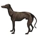 image 4 of Greyhound Whippet Dog Cast Iron Statue Figure Trophy Ornament Sculpture Pair