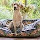 image 6 of Morris & Co Blue Strawberry Thief Dog Bed Sofa - Large Blue | L