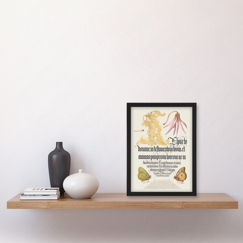 image 1 of Model Book of Calligraphy Framed Wall Art Dog Tooth Violet and Butterflies