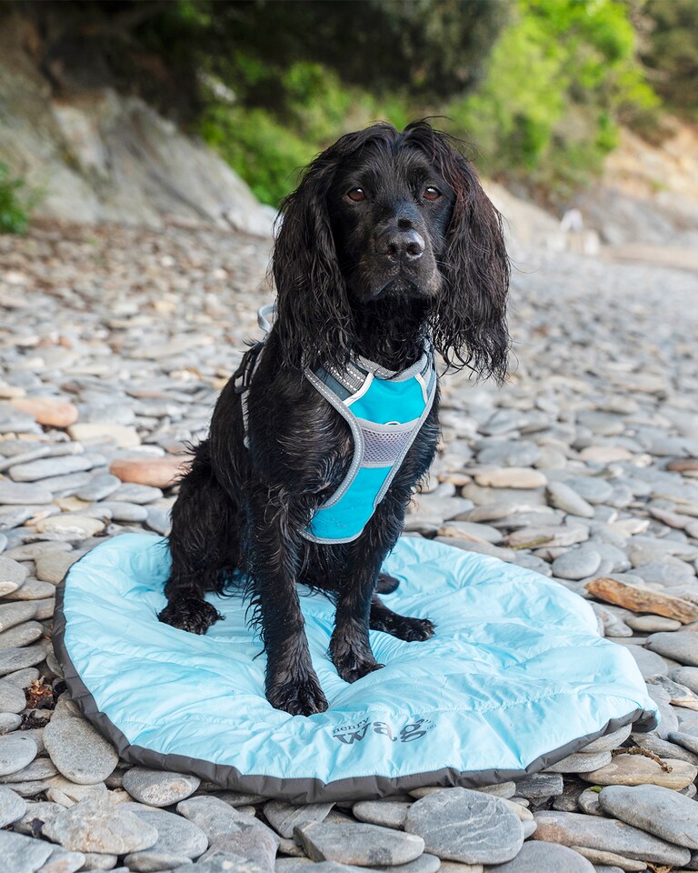 image 1 of Henry Wag Alpine Travel Snuggle Pet Bed