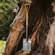 image 1 of Kent & Stowe - Stainless Steel Capability Digging Spade | Grey | 1 x Digging Spade