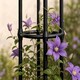 image 6 of Garden Obelisk for Climbing Plants 170cm - Metal Plant Cage Support Trellis Rose Tower for Flowers, Patio Pots, Shrubs, Borders
