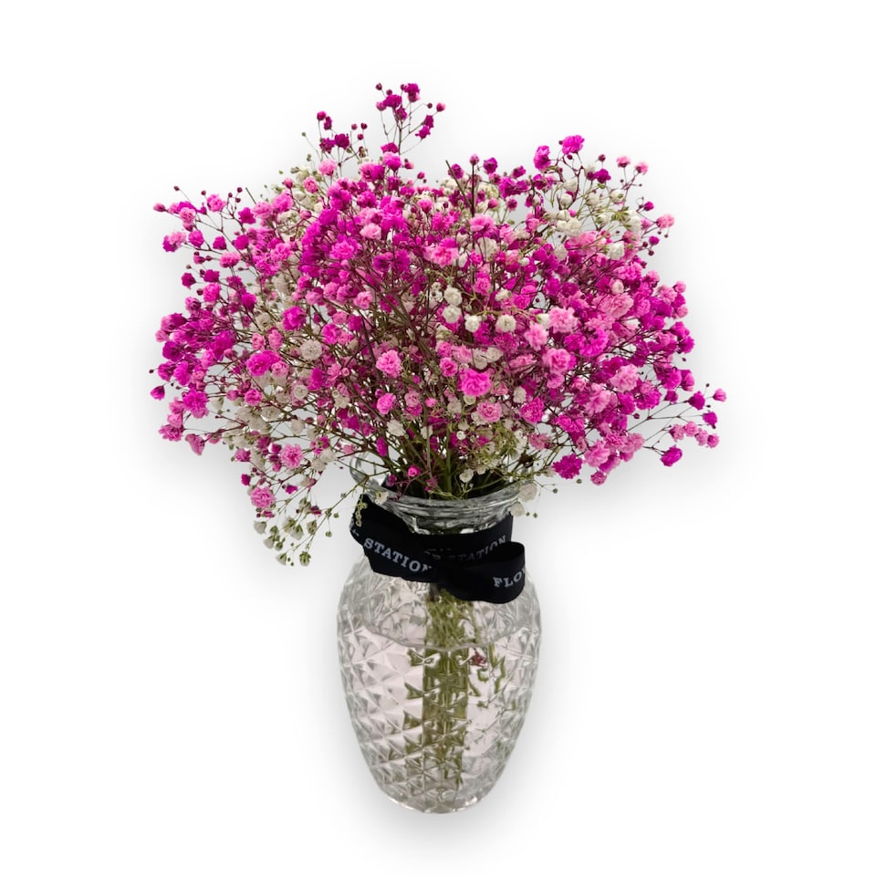 Pink Baby's Breath in a Vase Bouquet (Vase Included)