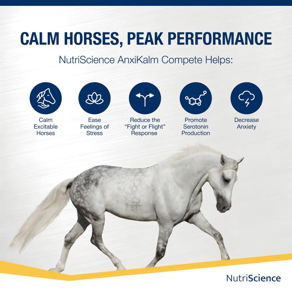 image 1 of NutriScience Horse Calming Supplement Powder Competition Safe Anxiety Stress Relief Equine 3kg