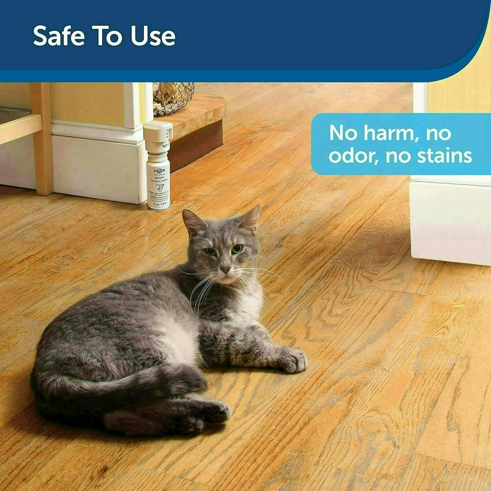 image 1 of PetSafe SSSCAT Spray Pet Deterrent - Motion Activated Pet Proofing Repellent for Cats and Dogs - Environmentally Friendly