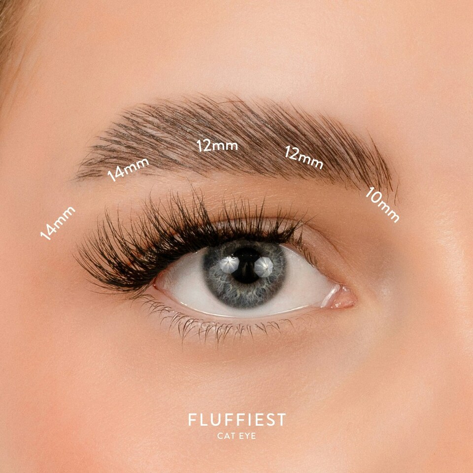 image 1 of House Of Amor - Eyelash Extensions - What The Fluff! Quicklashes - Fluffiest -