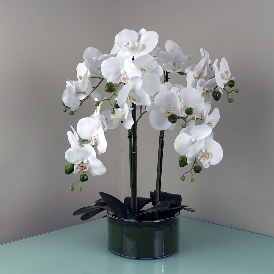 image 1 of 50cm Artificial Orchid with Glass Planter - White