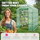 image 4 of Greenhouse - 16 shelf levels, tarpaulin cover, 143 x 143 x 195 cm